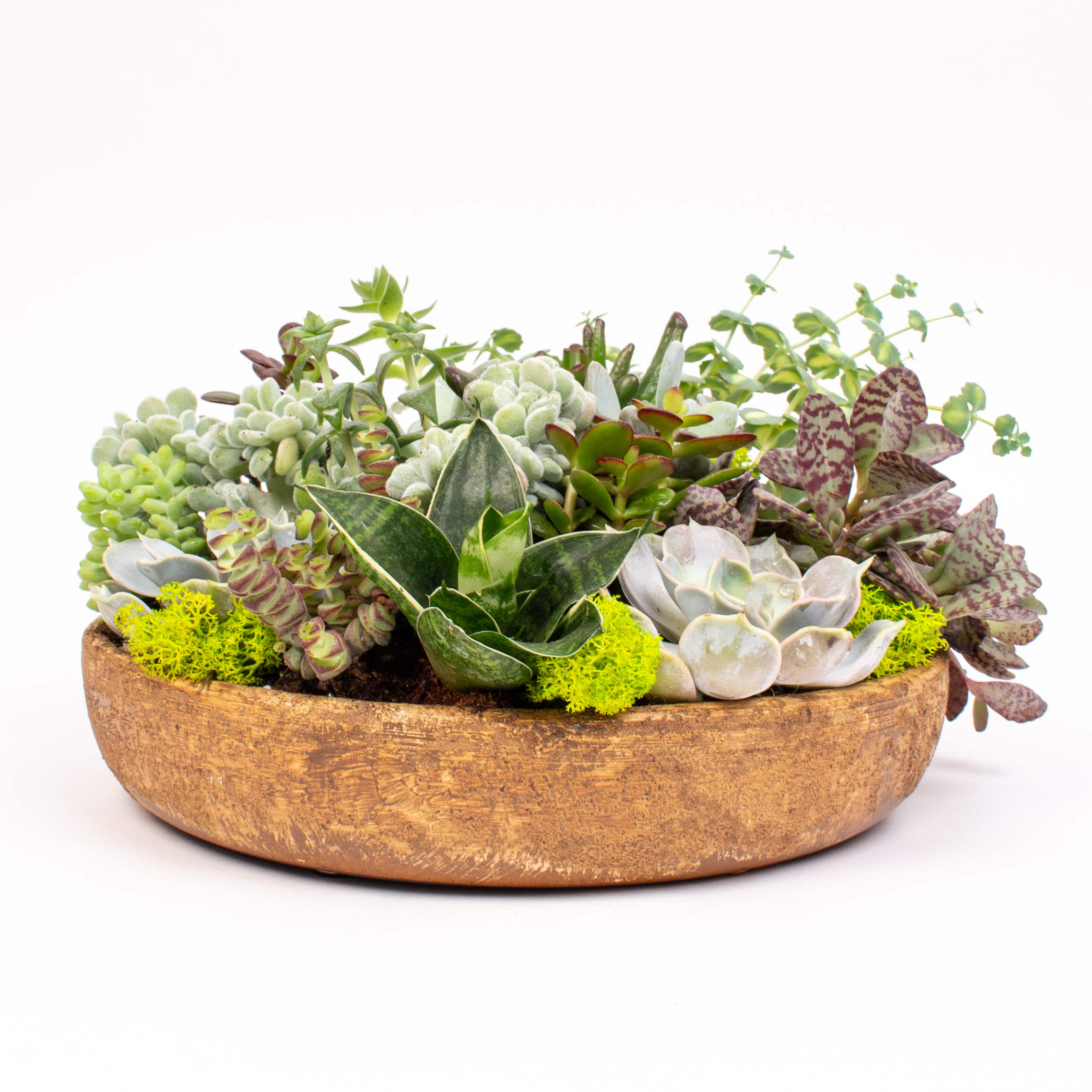 Grasute in vas ceramic intins 27 cm