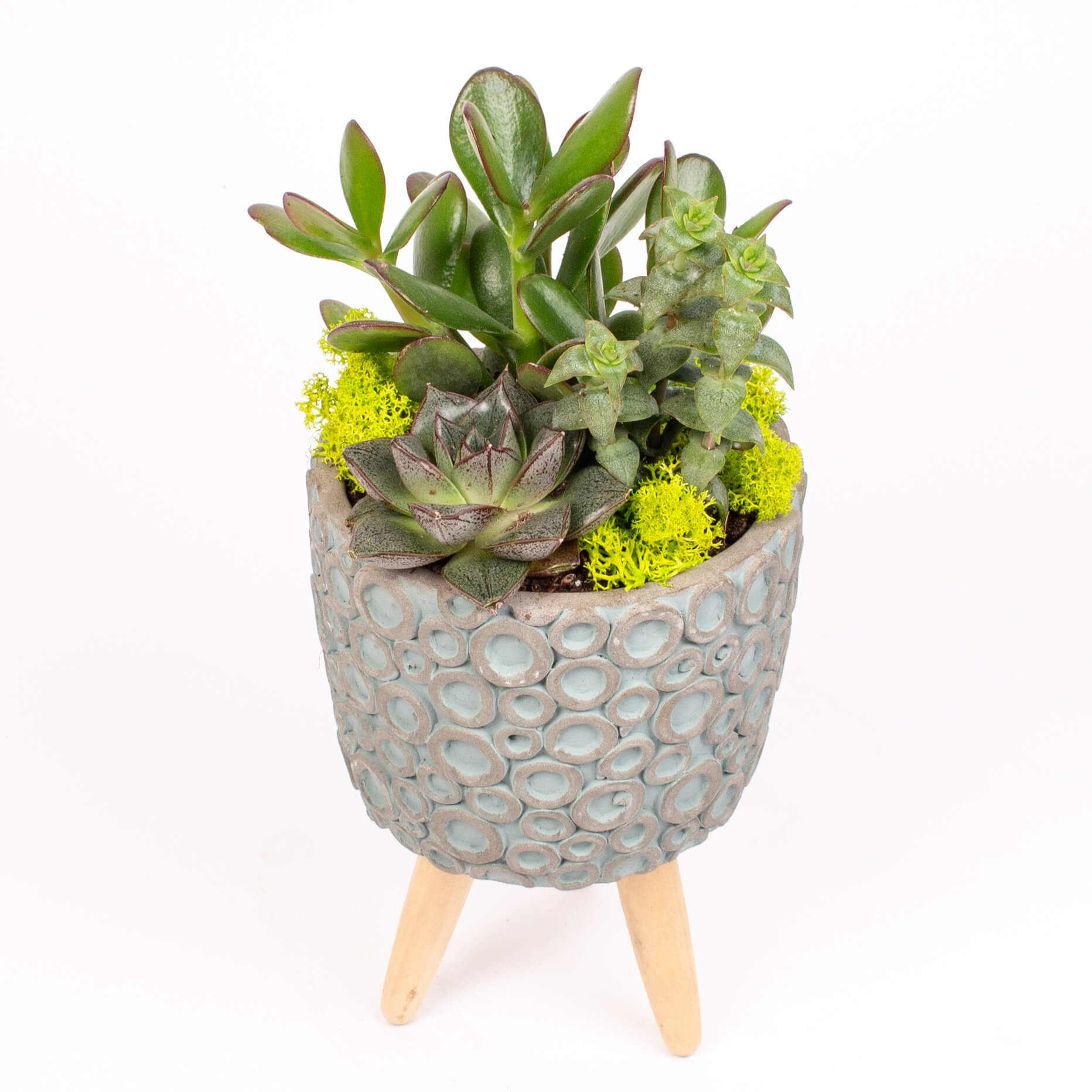 Grasute in ghiveci tripod