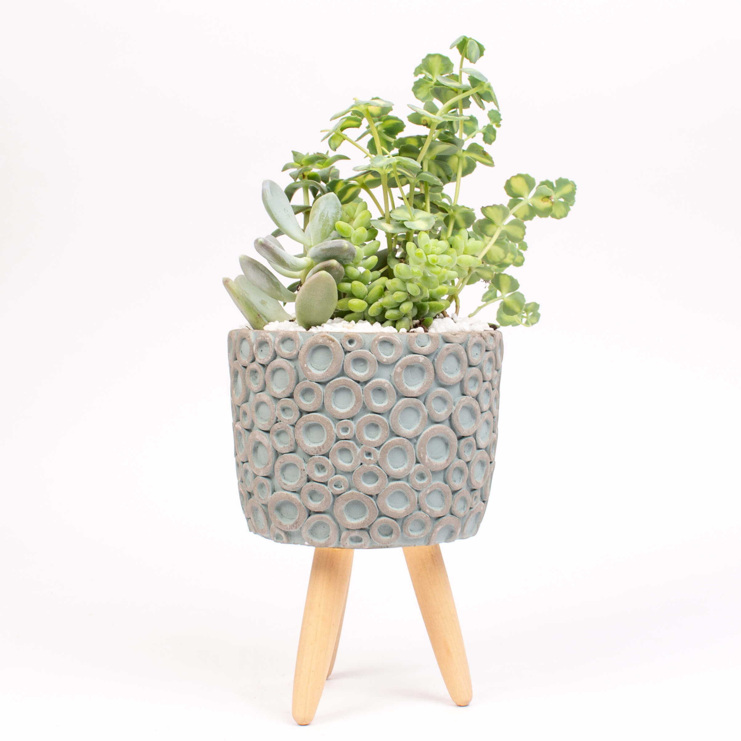 Ghiveci tripod cu suculente