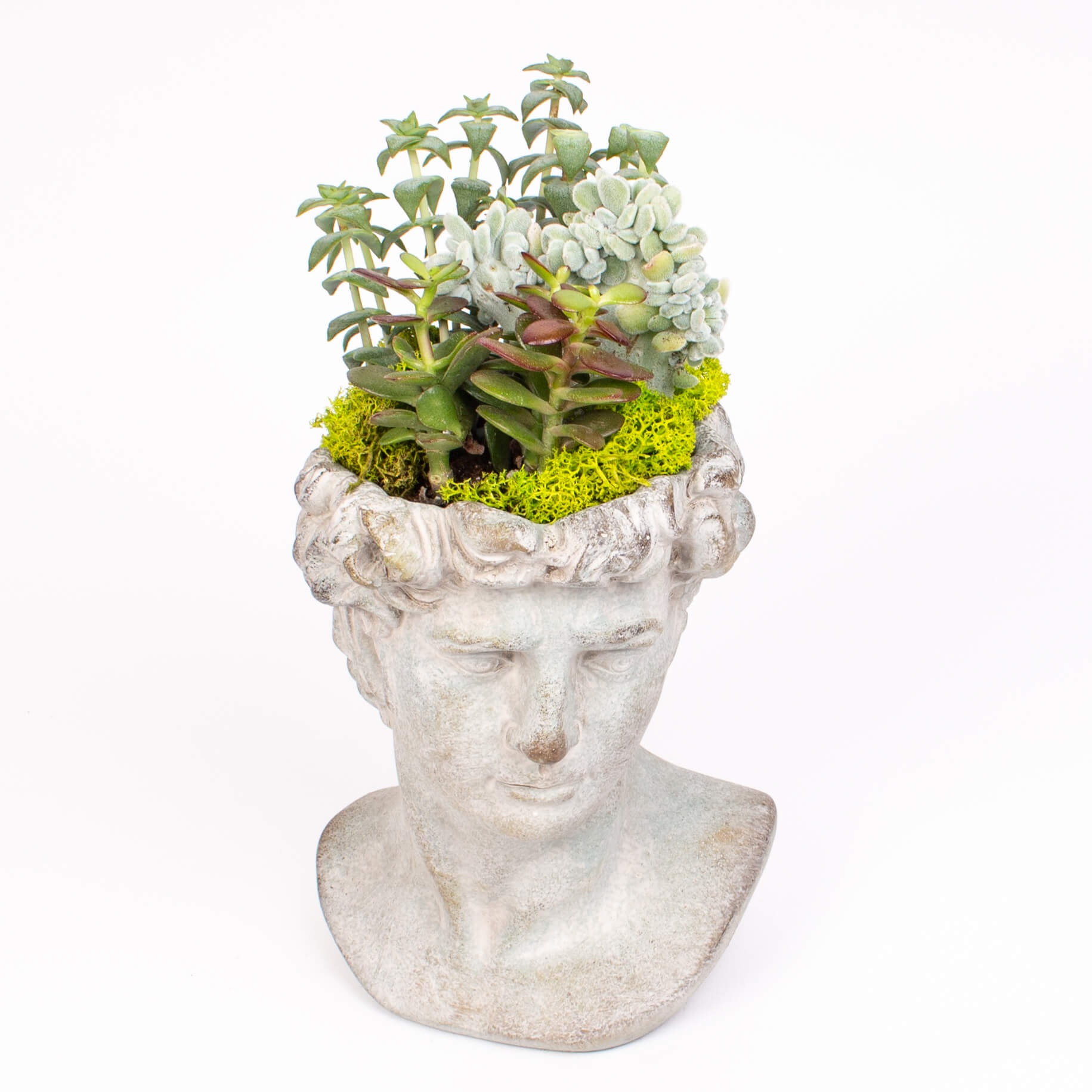 GTCO12a Statuie barbat cu suculente