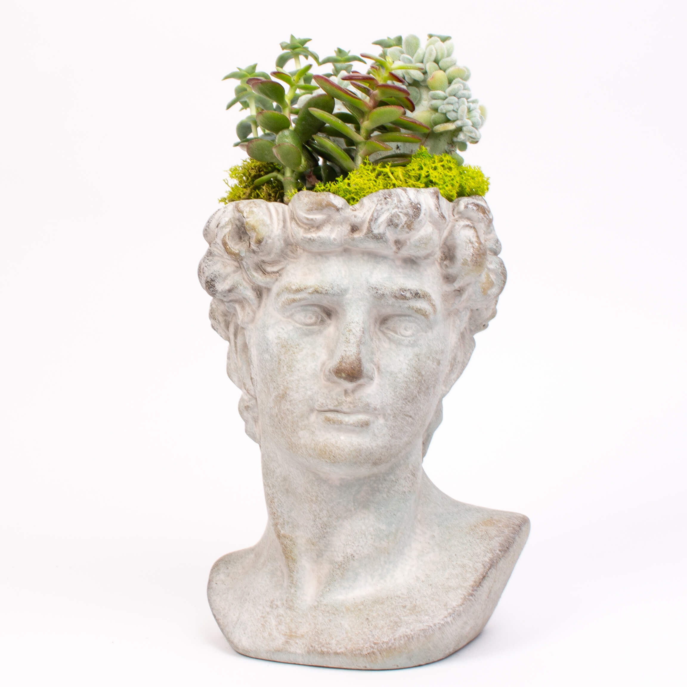 Statuie barbat cu suculente