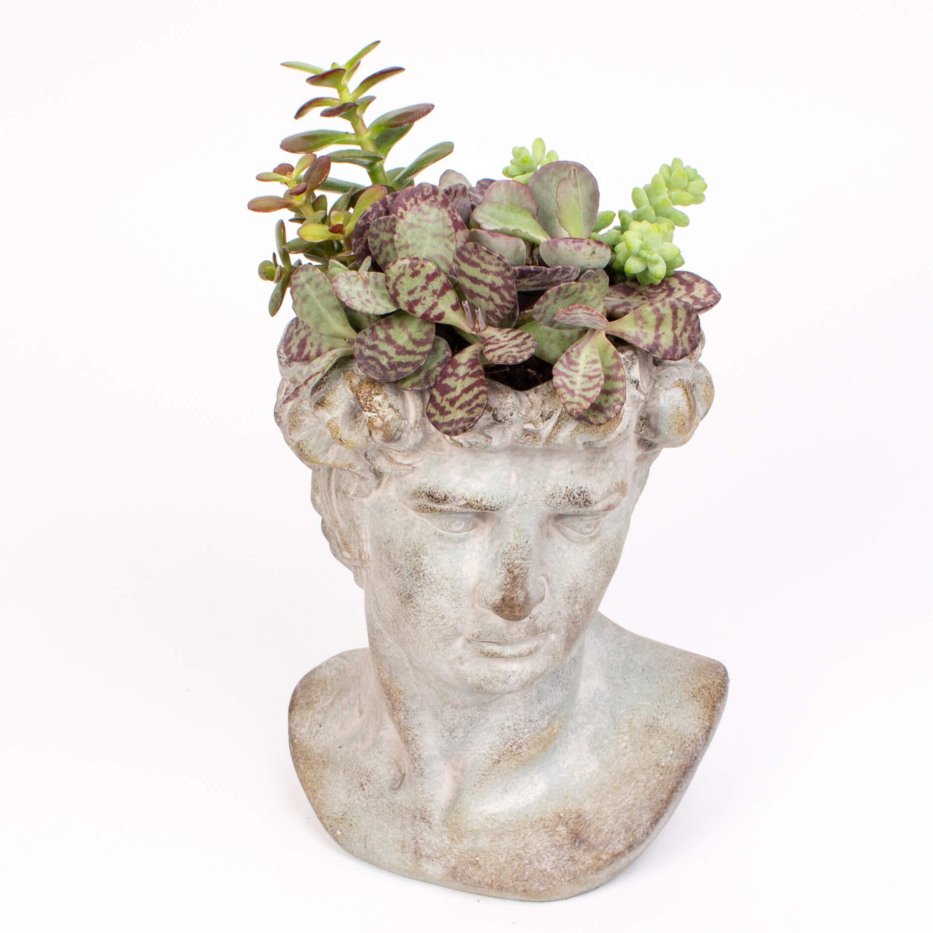 Statuie cu suculente