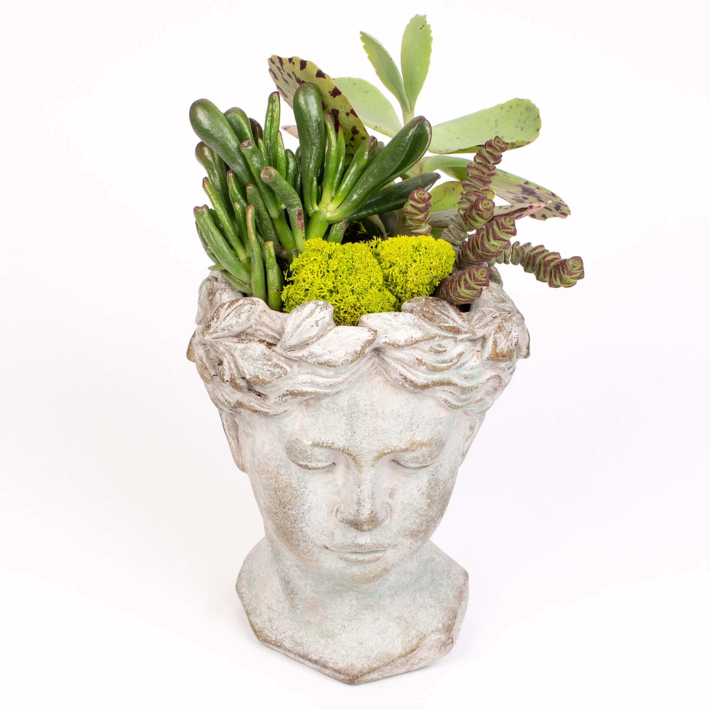 Ghiveci statuie cu suculente