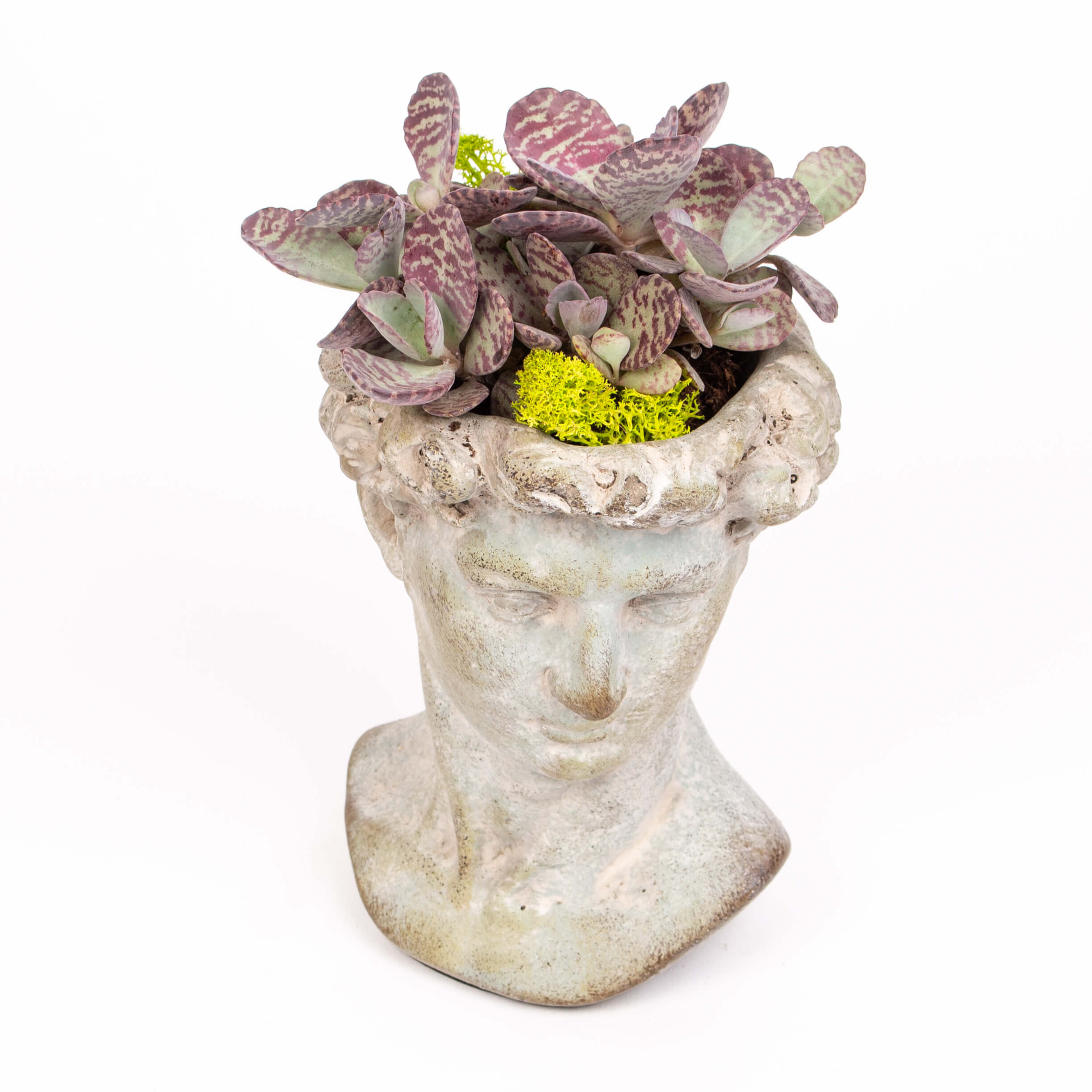 GTCO17a Ghiveci statuie cu kalanchoe Ghiveci statuie cu kalanchoe