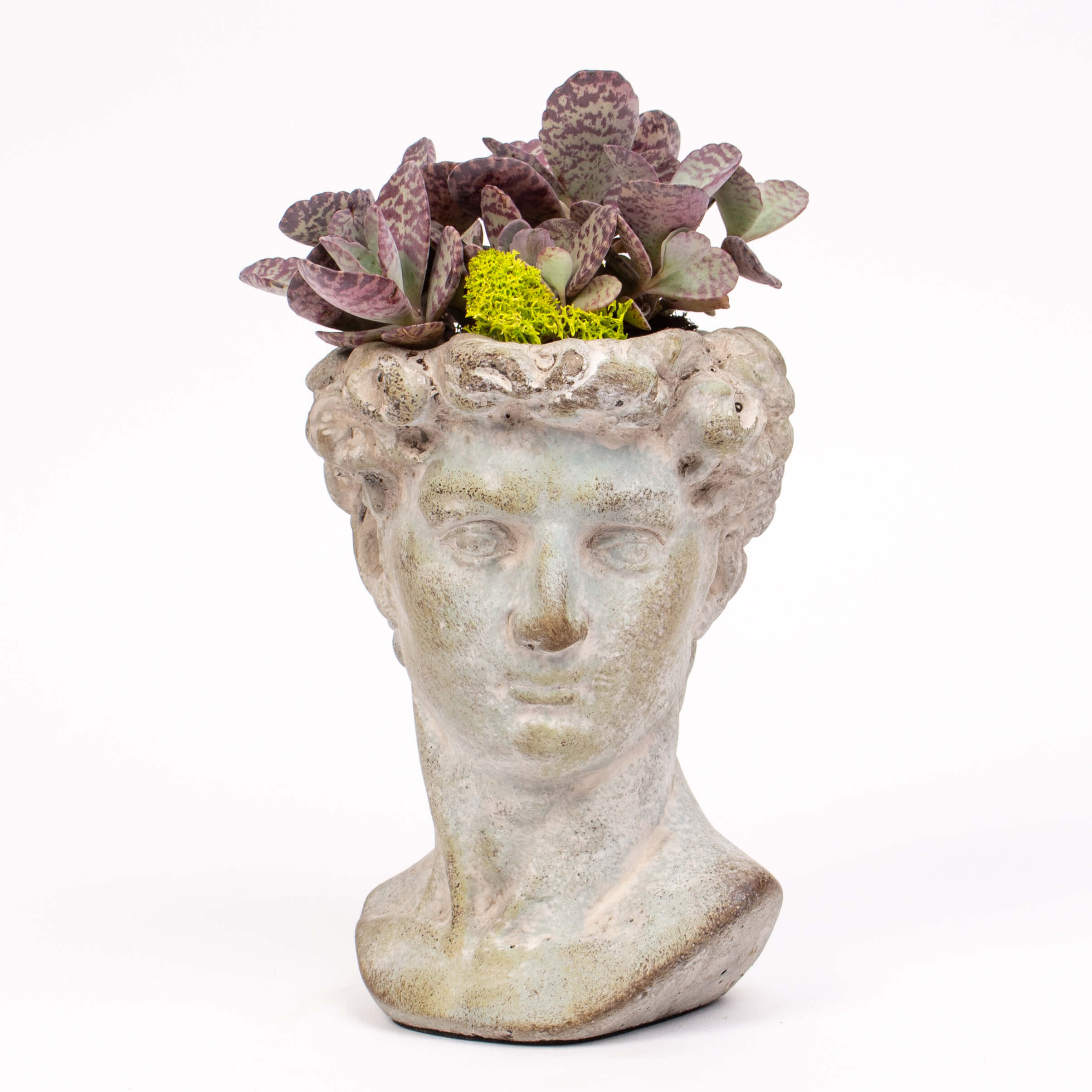 Ghiveci statuie cu kalanchoe