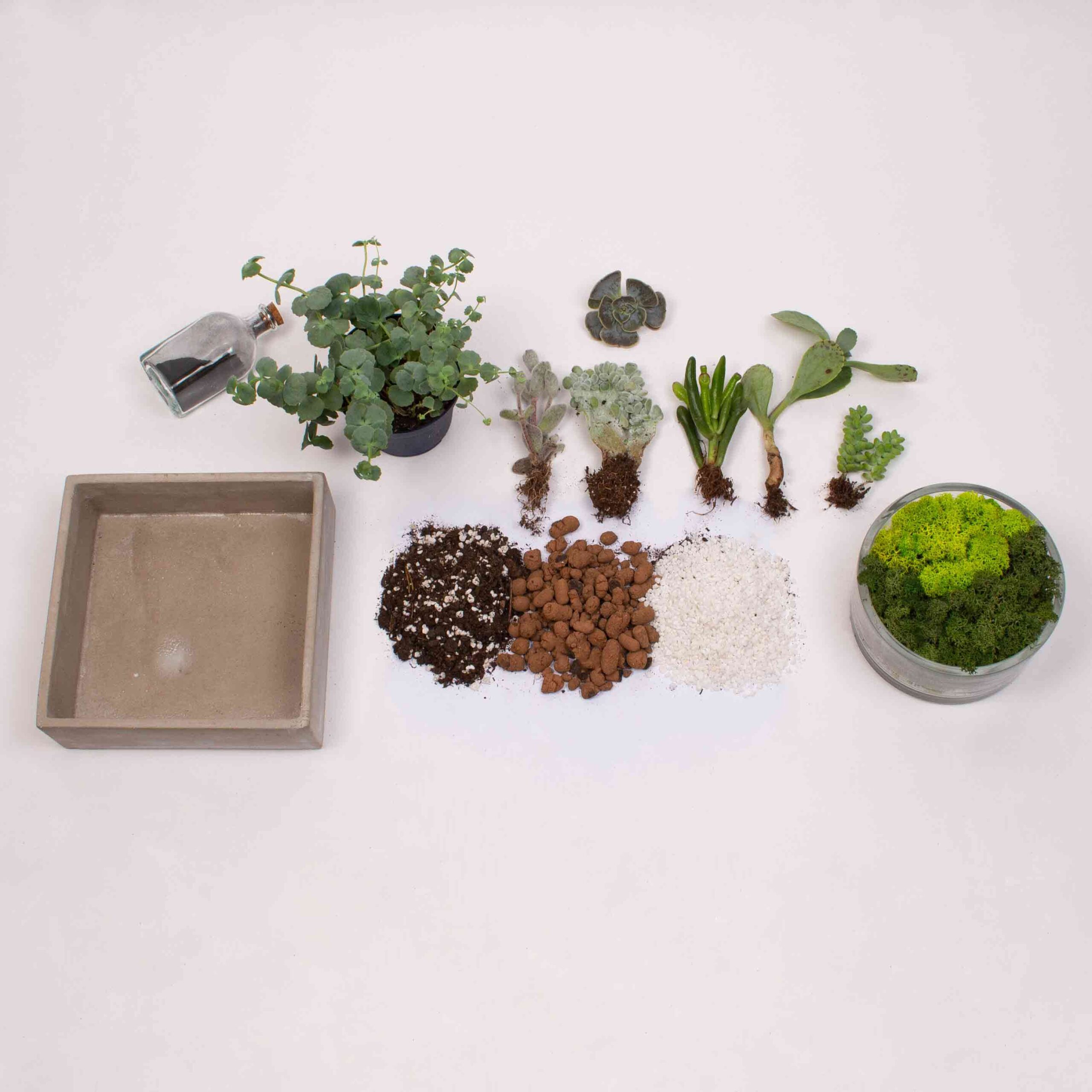 Kit terariu 1