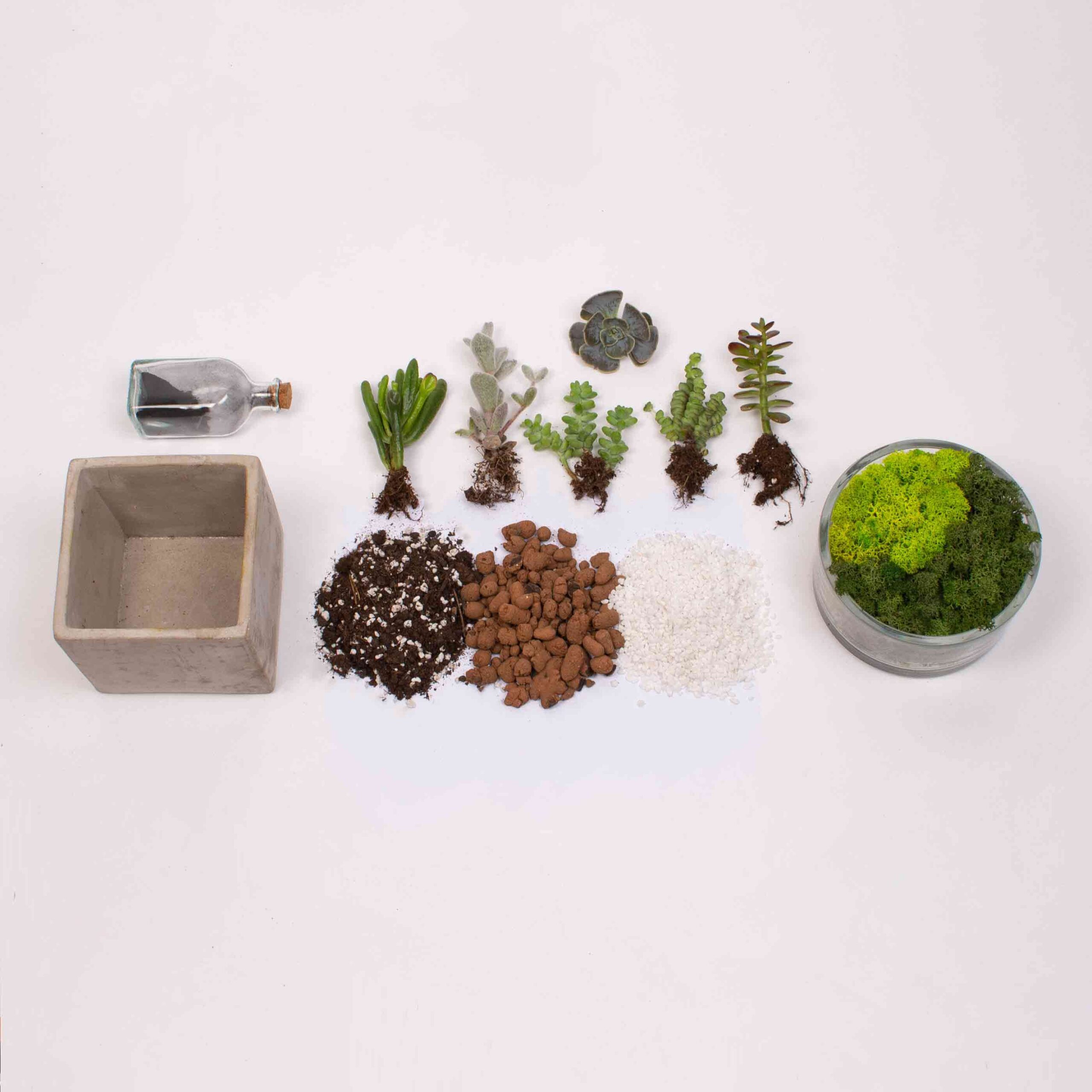 Kit Terariu DIY la cub