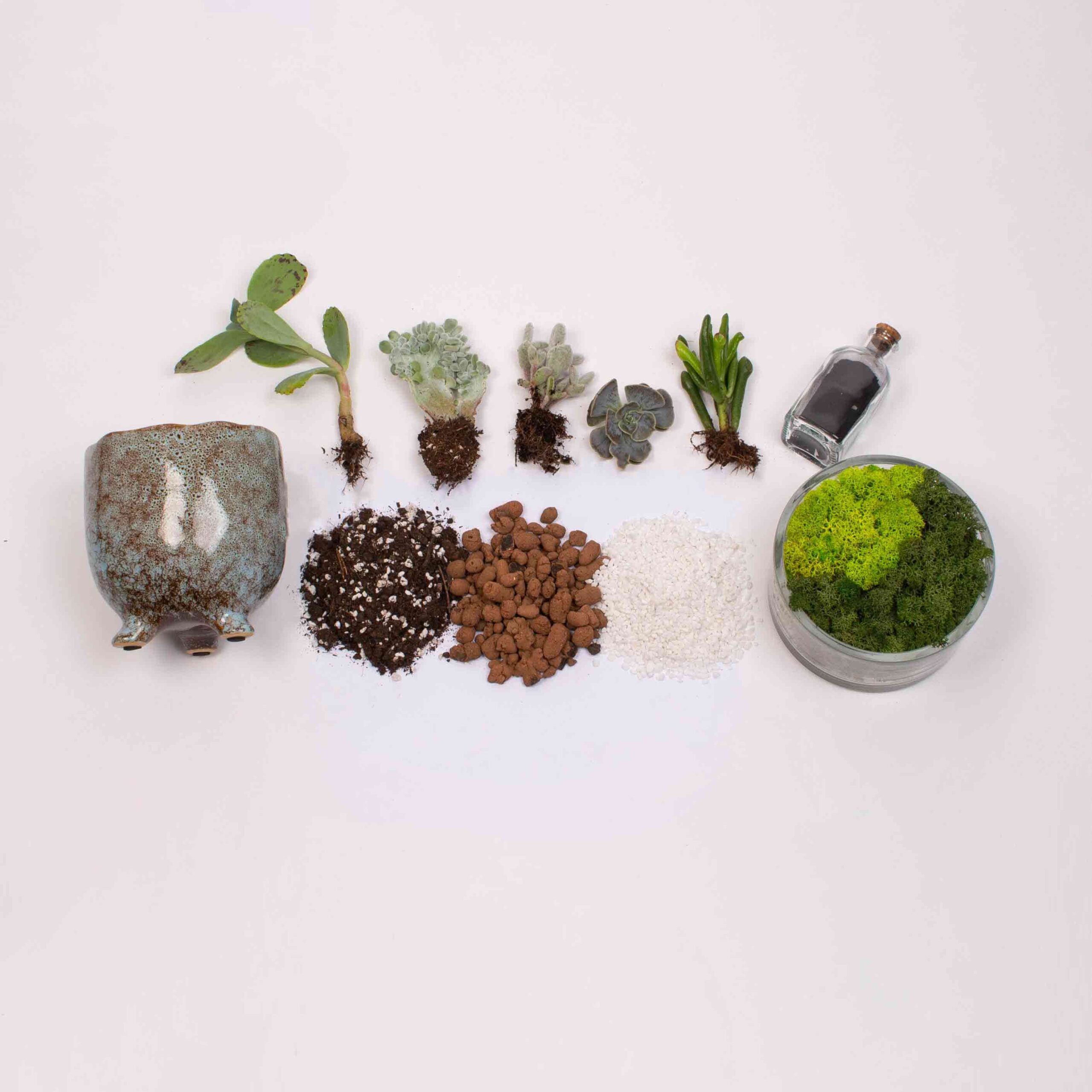 Kit Terariu DIY in ceaunel albastru