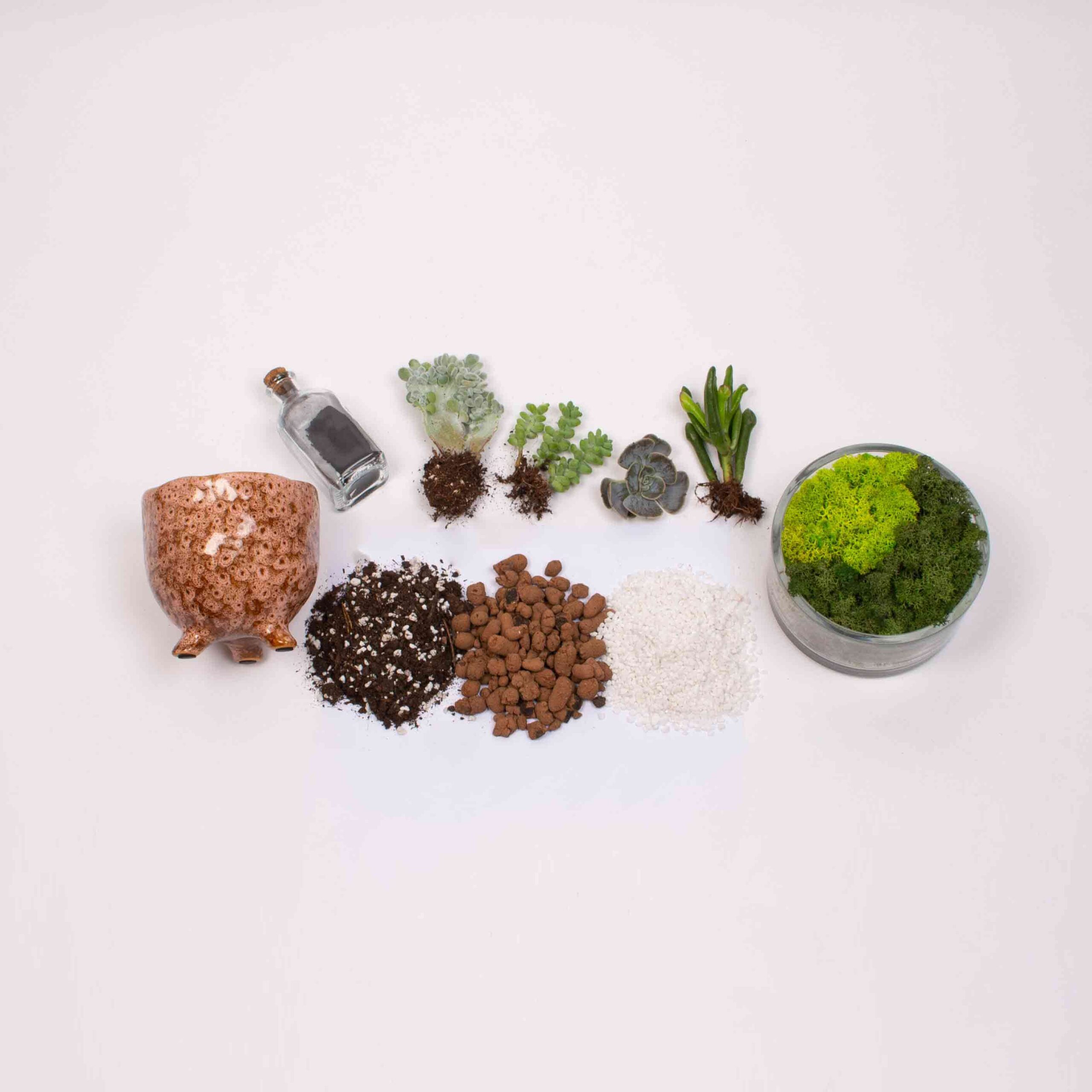 Kit Terariu DIY in ceaunel roz