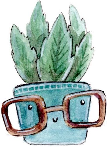 cactusi in ghiveci pret