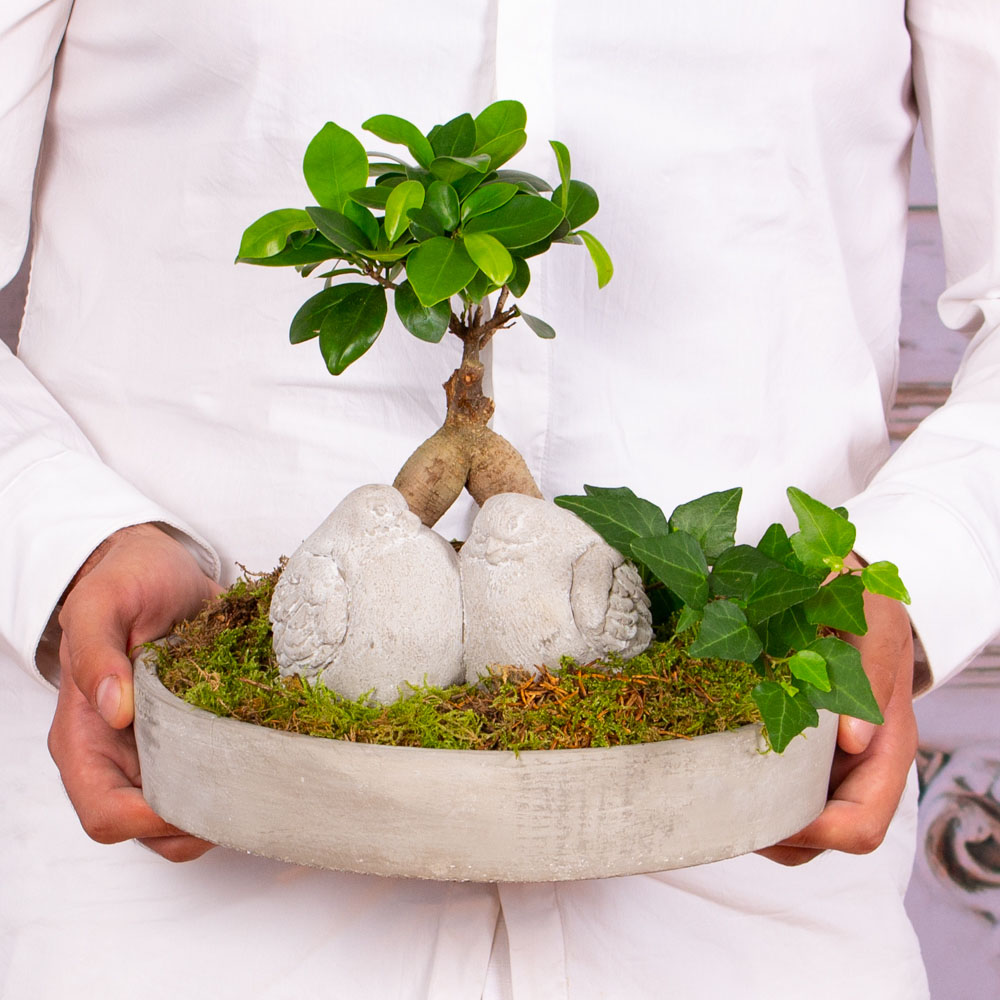 TER297-Aranjament-in-vas-ceramic-22Legatura-Vesnica22