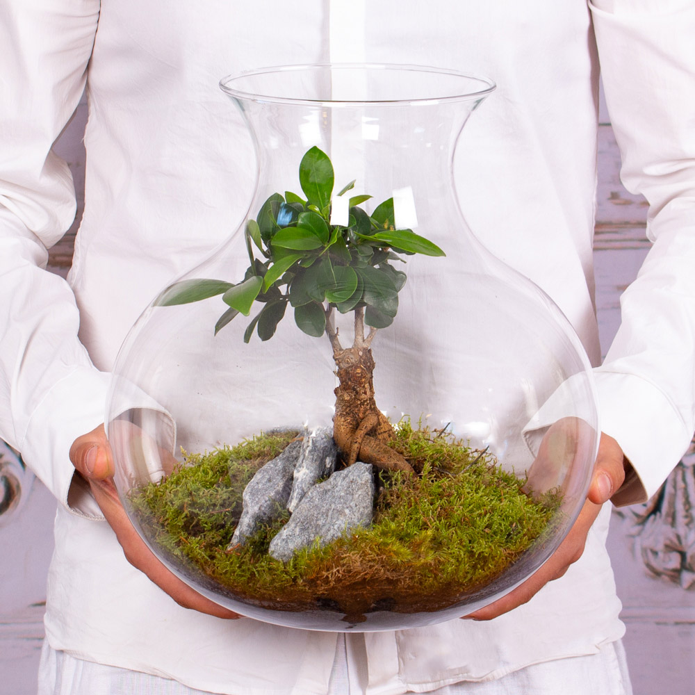 TER306-Aranjament-22Gradina-zen-cu-bonsai22