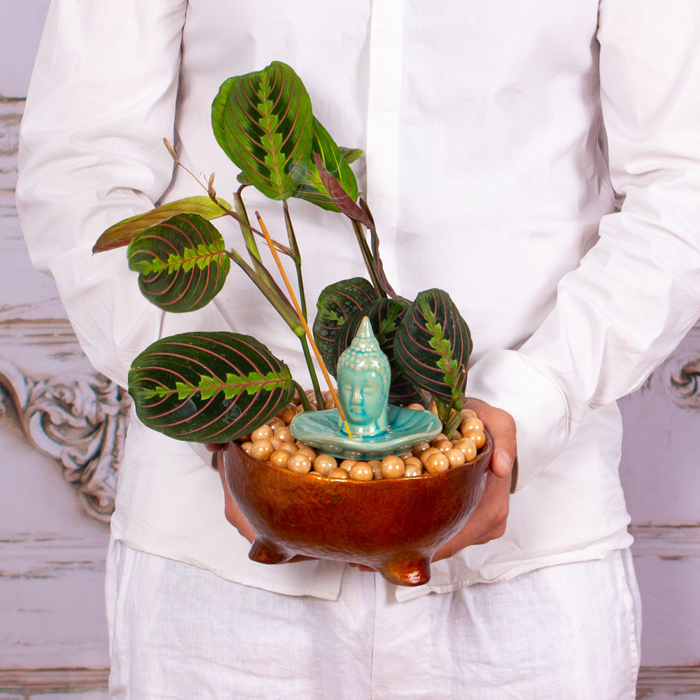 TER307-Terariu-parfumat-cu-maranta